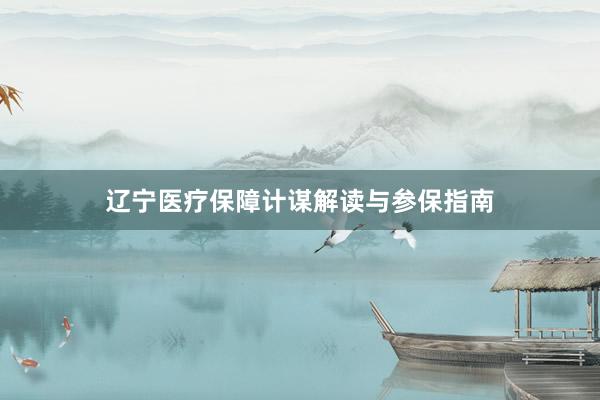 辽宁医疗保障计谋解读与参保指南
